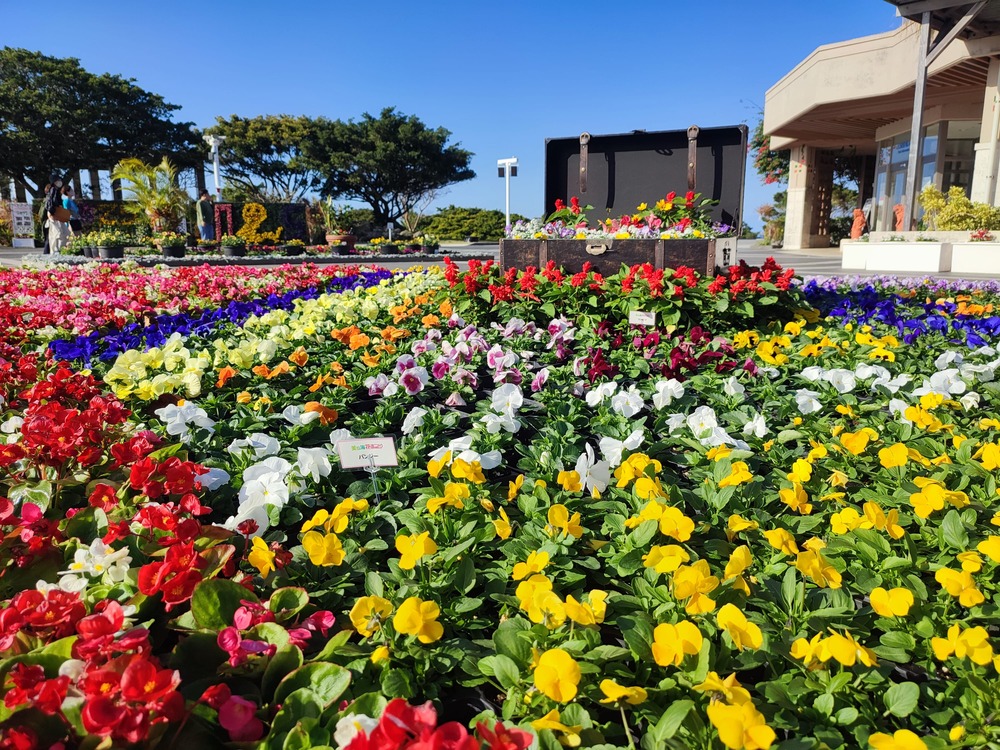 kiji1Img.jpg?uid=20240122101836