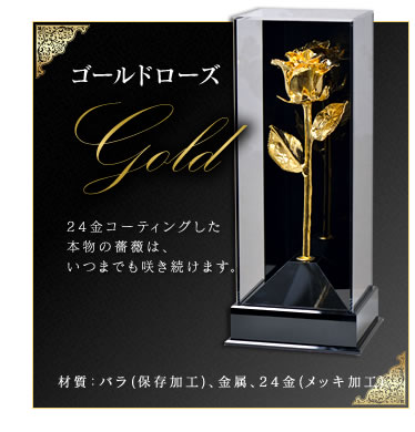 ゴールドローズ・レッドローズ class salon