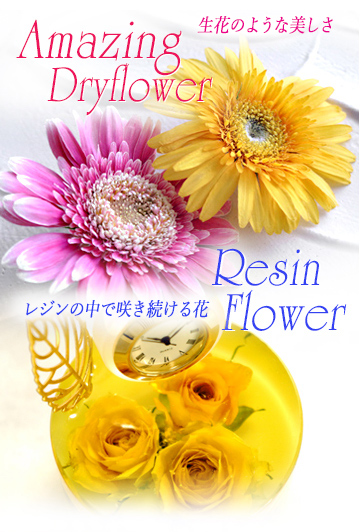 アメージングドライフラワー＆レジンフラワー/生花そのままの美しさ！