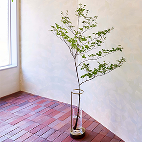 枝を気軽に楽しめる専用ベース「EDA VASE」 | 青山フラワーマーケット