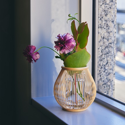 公長齋小菅/駿河千筋つぼみ花入 S | 青山フラワーマーケット｜花束