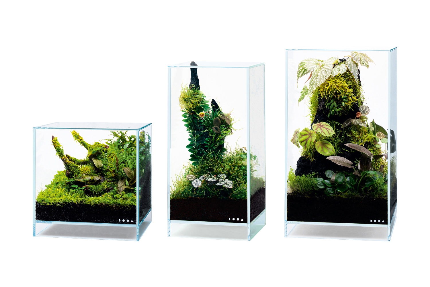 HOME AQUARIUM「ミニパルダリウムをつくる楽しみ」 | AQUA DESIGN AMANO