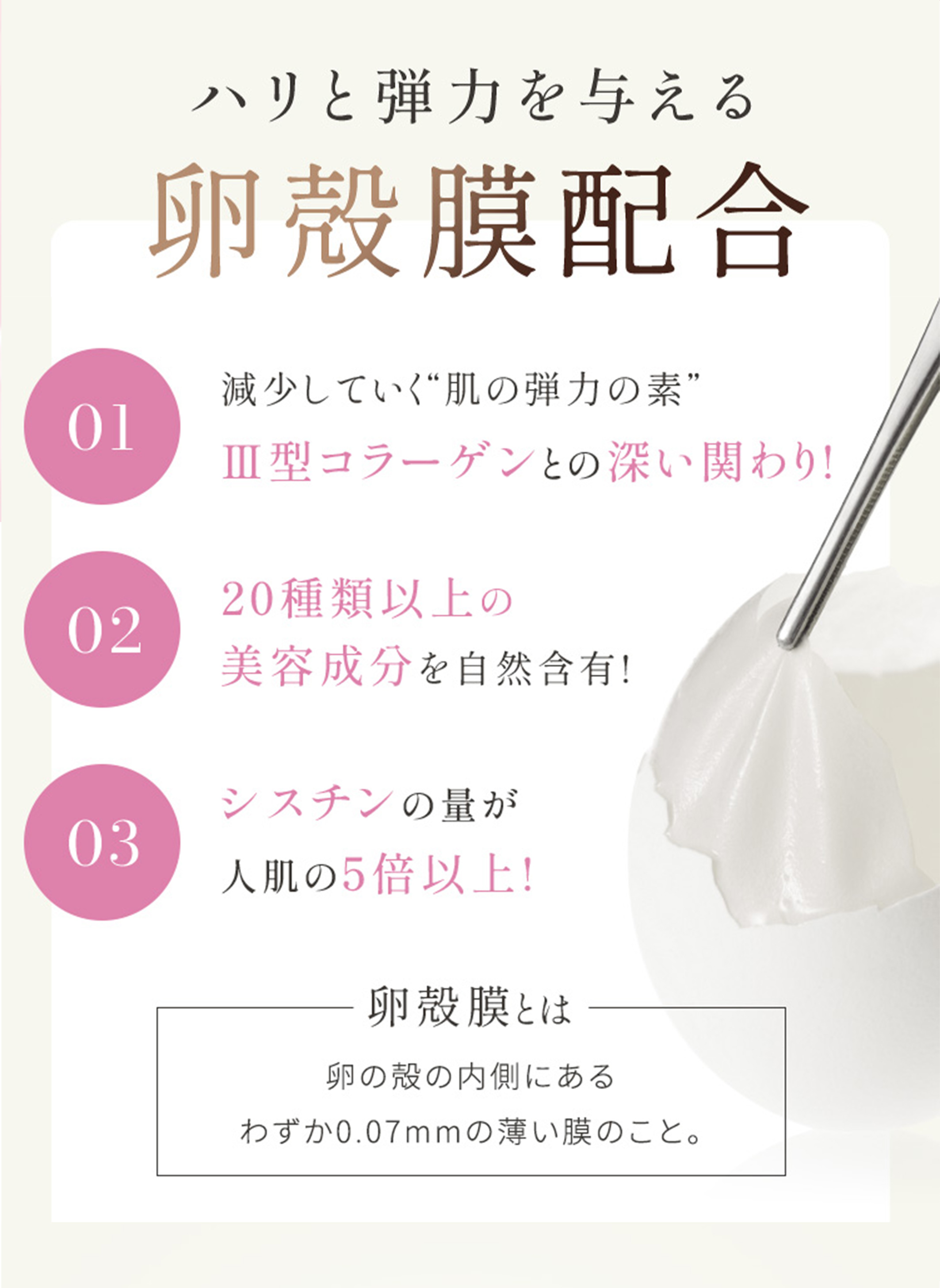 商品カテゴリ一覧｜CELLULA