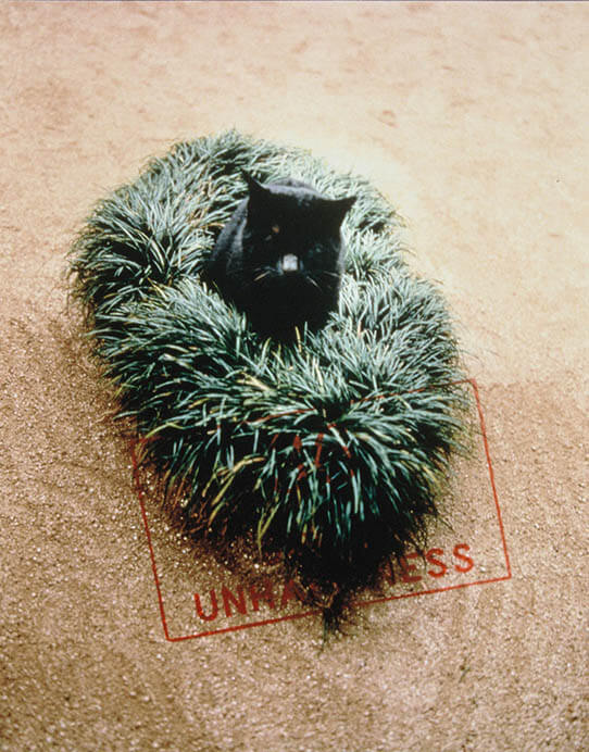 ソフィ カル―限局性激痛」 原美術館コレクションより | 原美術館