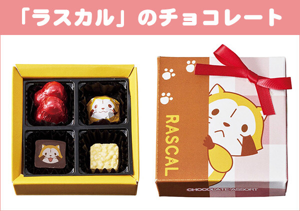 ラスカルのバレンタイン向け商品が登場！｜ニュース＆イベント
