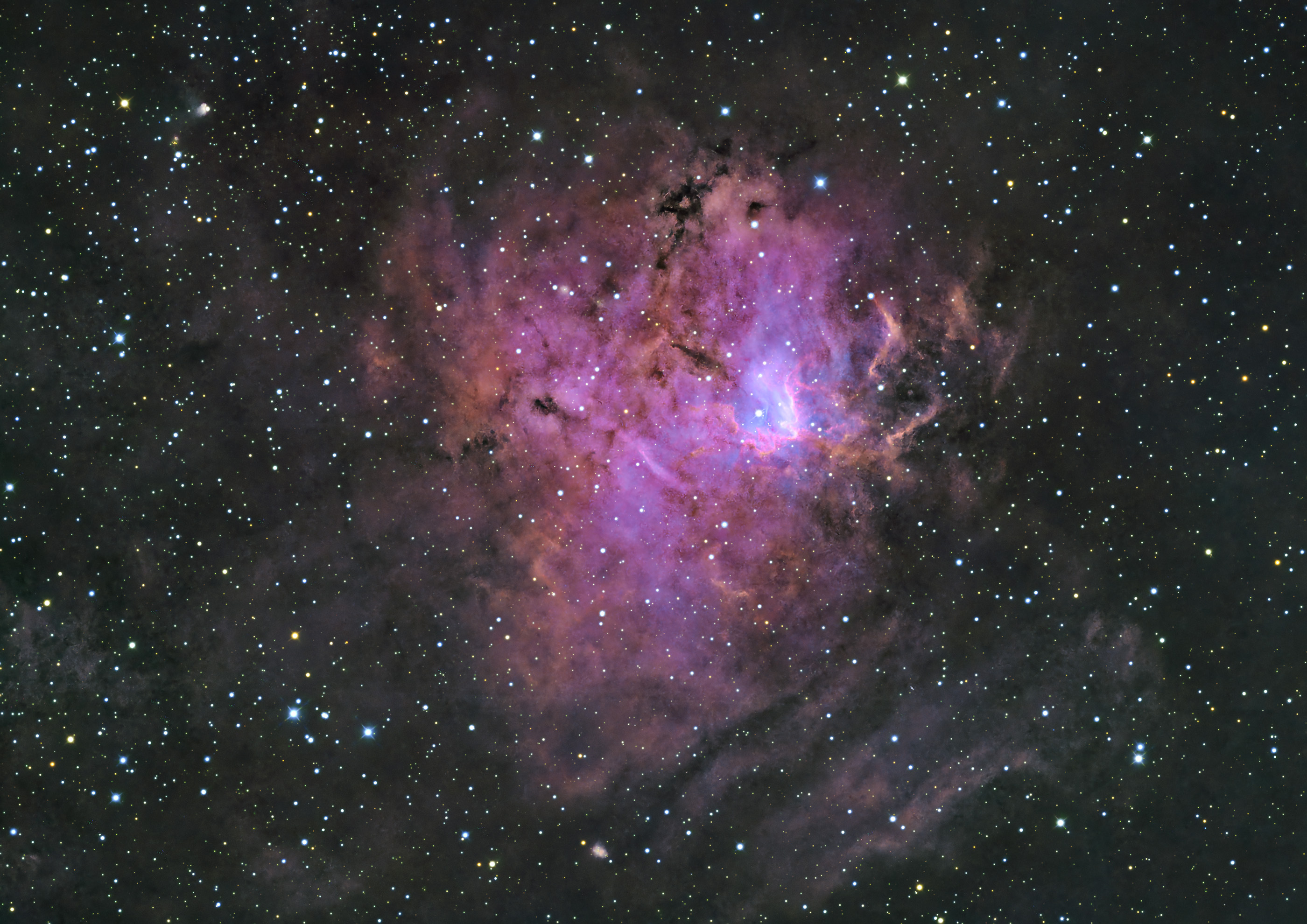 116875: NGC1491 Sh2-206 by Sakai - 天体写真ギャラリー