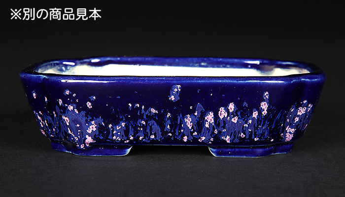 鴻陽瑠璃ピンク結晶釉隅入長方鉢 | 盆栽、盆栽書籍、盆栽鉢の通販