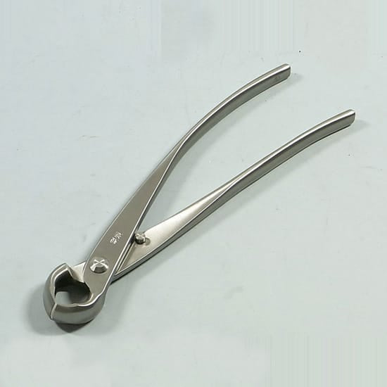 コブ切の販売｜盆栽妙 – 盆栽妙 本店