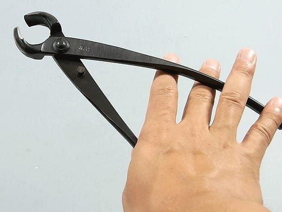 コブ切の販売｜盆栽妙 – 盆栽妙 本店