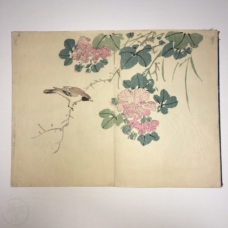 幕末屋 • 竹洞花鳥画譜 多色木版画 折本 (日本の絵本 ) • 希少な本と写真
