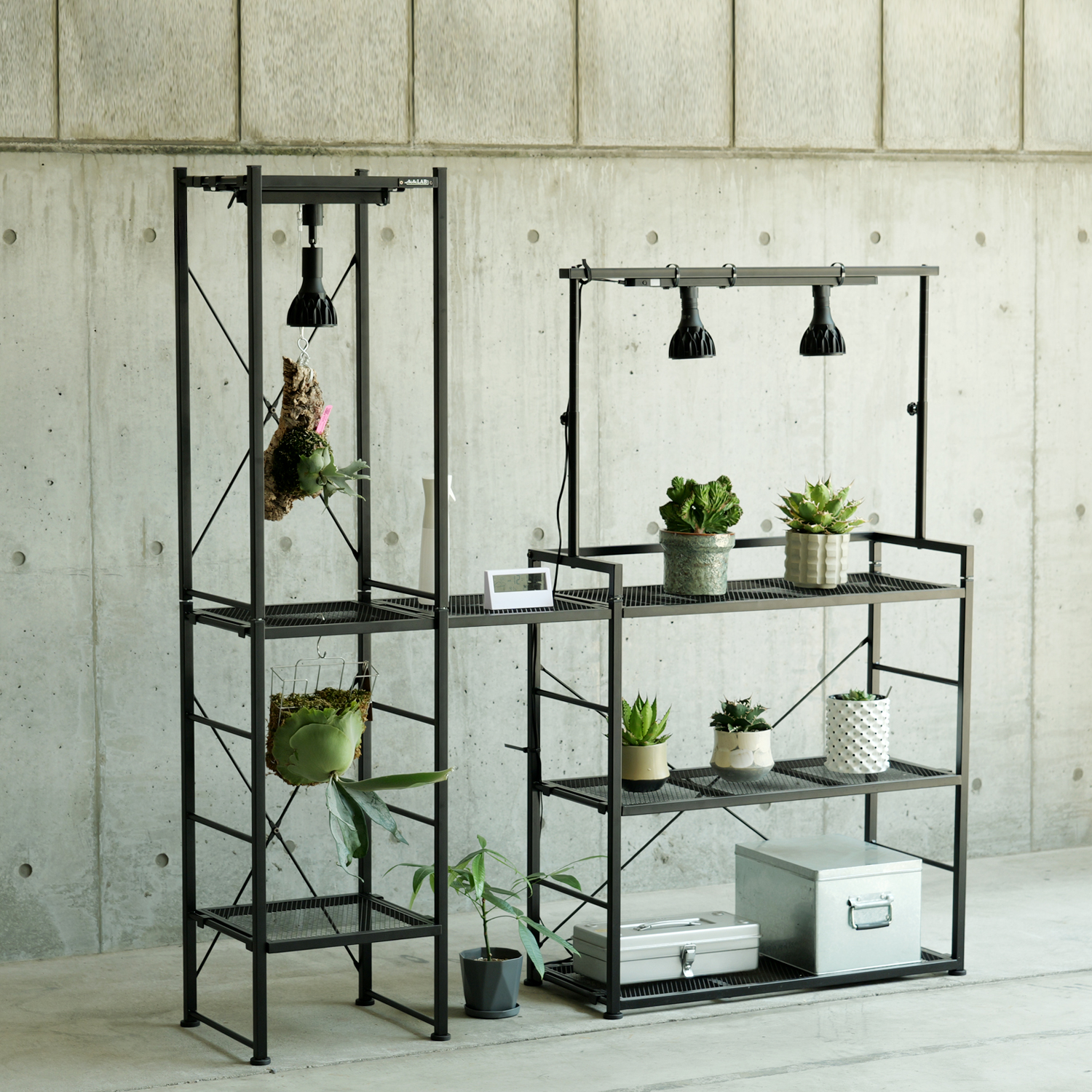 ビザールプランツラック「スクエア」 LPR-350 | BIBILAB®