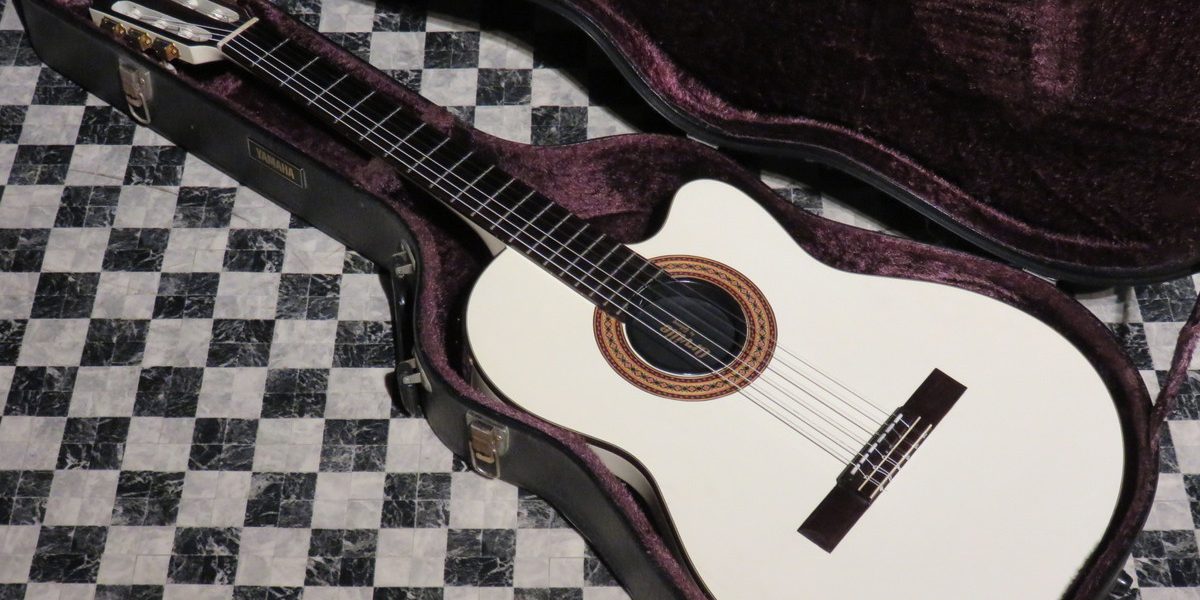 Orville by Gibson Chet Atkins CE | Big City Guitars