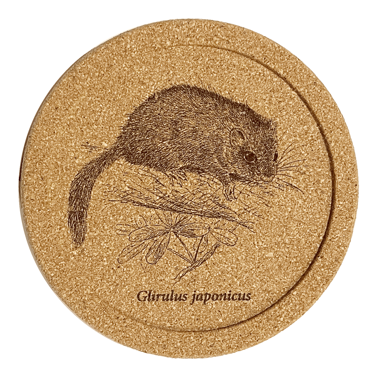 レーザー彫刻コルク製コースター・ヤマネ – いきもの細密画アートグッズ