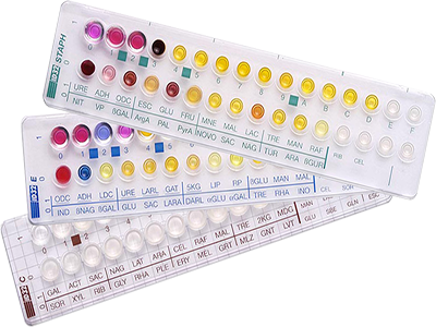 API®シリーズ（研究用検査キット） | ビオメリュー製品要覧