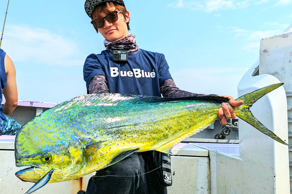 バシュート!!!105 | バシュート | ルアー | 製品 | BlueBlue -ブルー