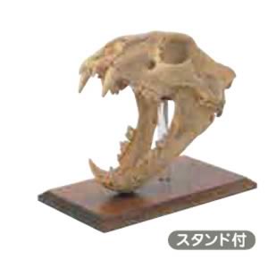 No.SR-4 アフリカライオン 【画材の通販は画材販売.jp】