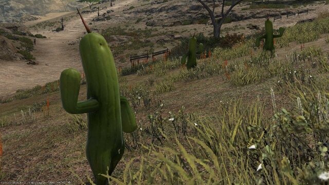 FF14 黄金のレガシー』の“サボテンダー”が衝撃的…筋肉モリモリマッチョ