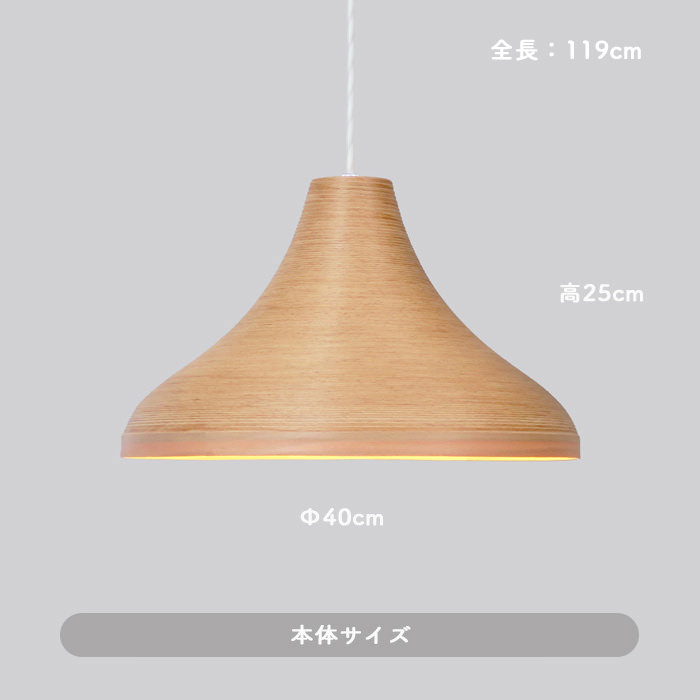 ブナコ P2031 ペンダントライト｜照明のライティングファクトリー