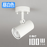 スポットライト 100W相当・昼白色 | 天井壁面兼用｜照明のライティング