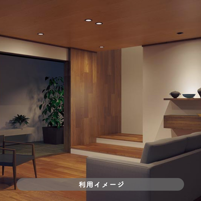 防雨型 ダウンライト Φ125mm 電球色 60W | ブラック｜照明の