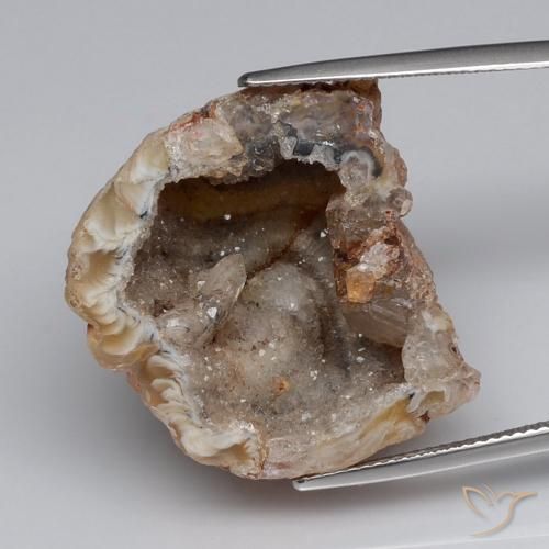 多くの色の瑪瑙ジオードの素晴らしい選択-今すぐ購入