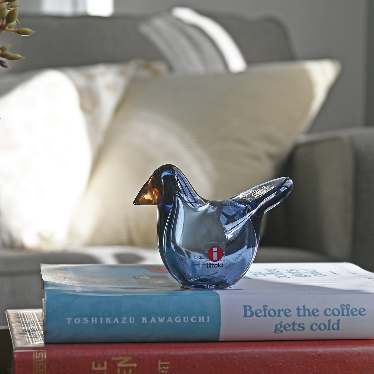 iittala Toikka Rain Flycatcher - Shop All Glass Birds – GlassBirds.com