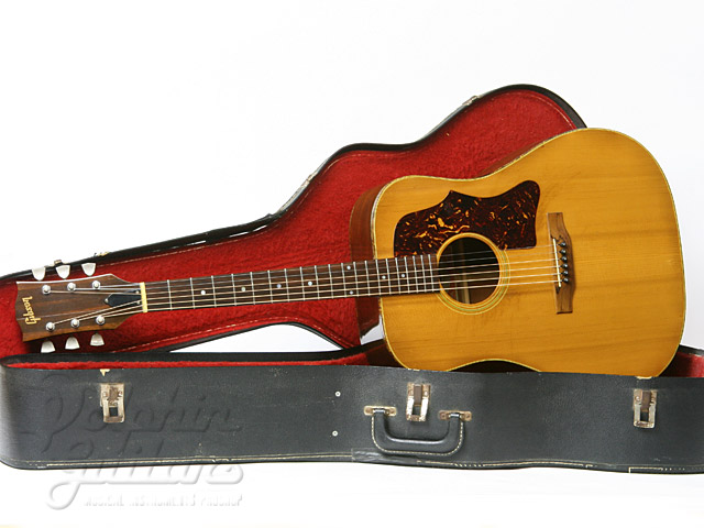 Gibson J-50 Deluxe |ドルフィンギターズ