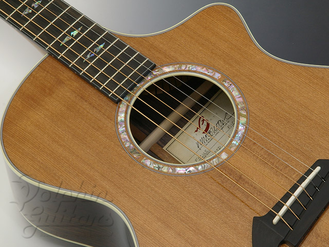 Breedlove Focus SE|ドルフィンギターズ