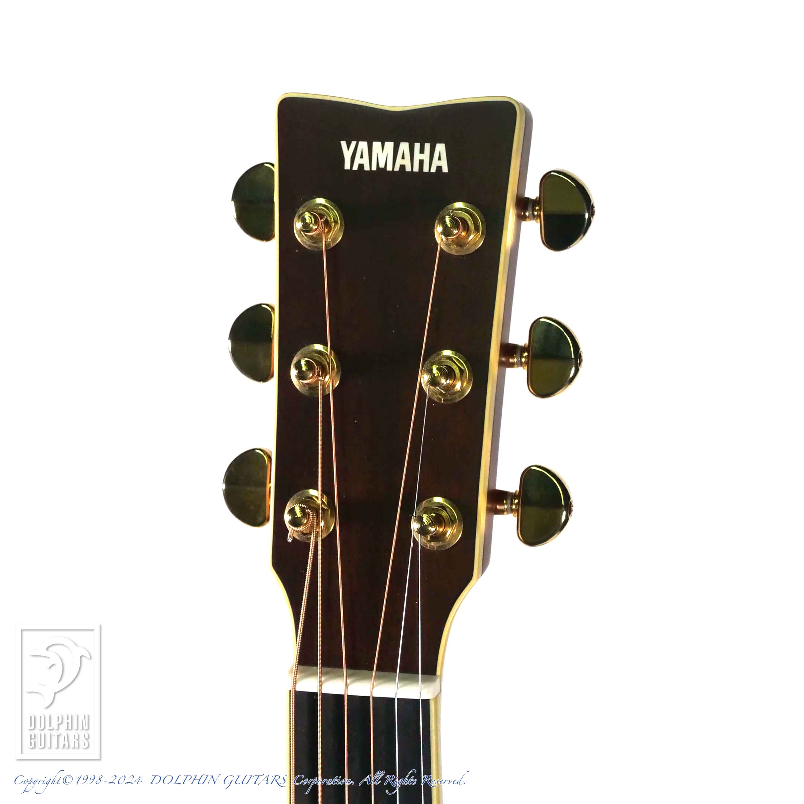 YAMAHA LS16 ARE|ドルフィンギターズ