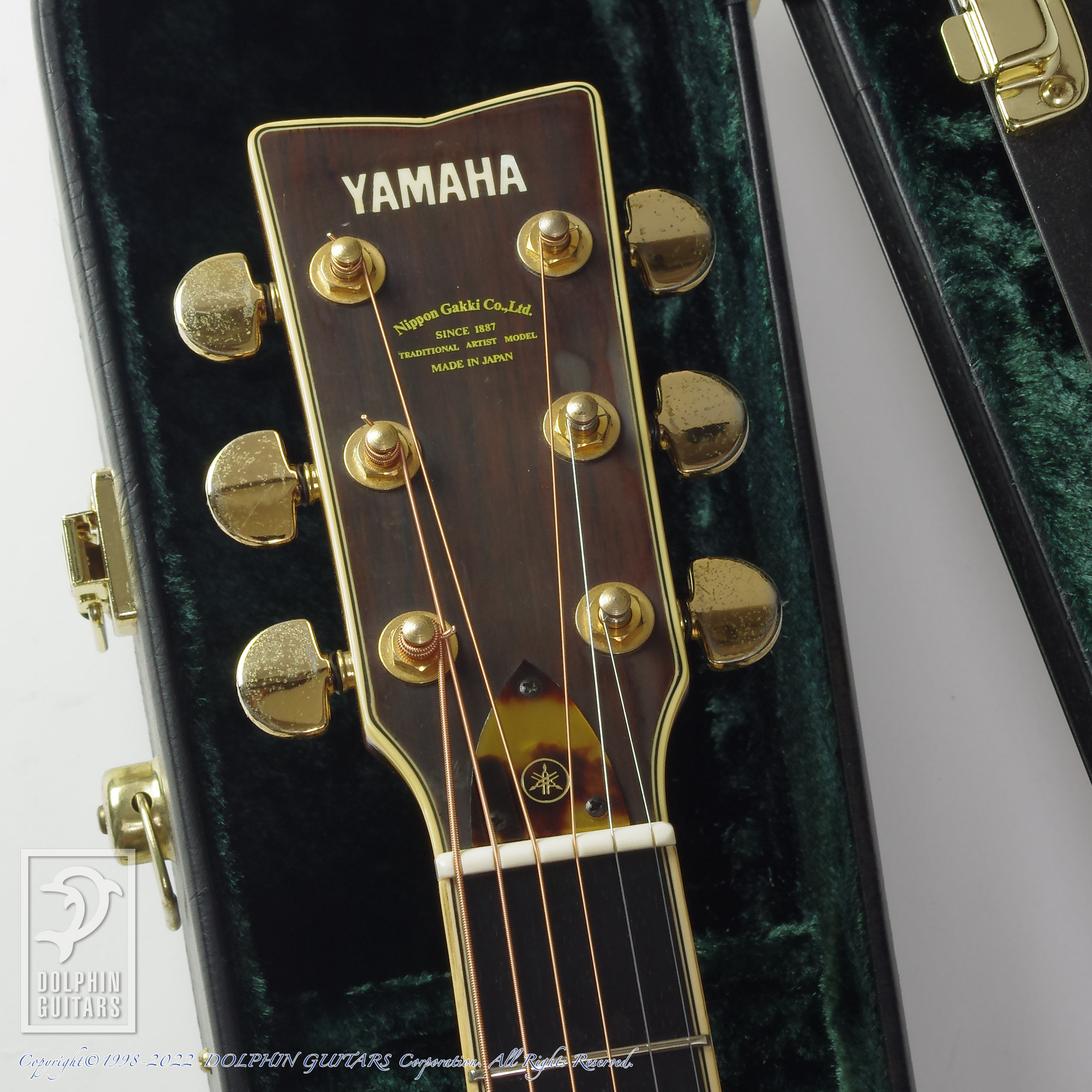 YAMAHA L-31AE (Jacaranda)|ドルフィンギターズ
