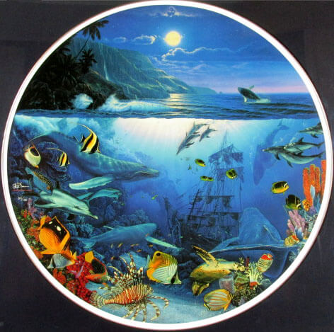 クリスチャンリースラッセン マウイホエールソング