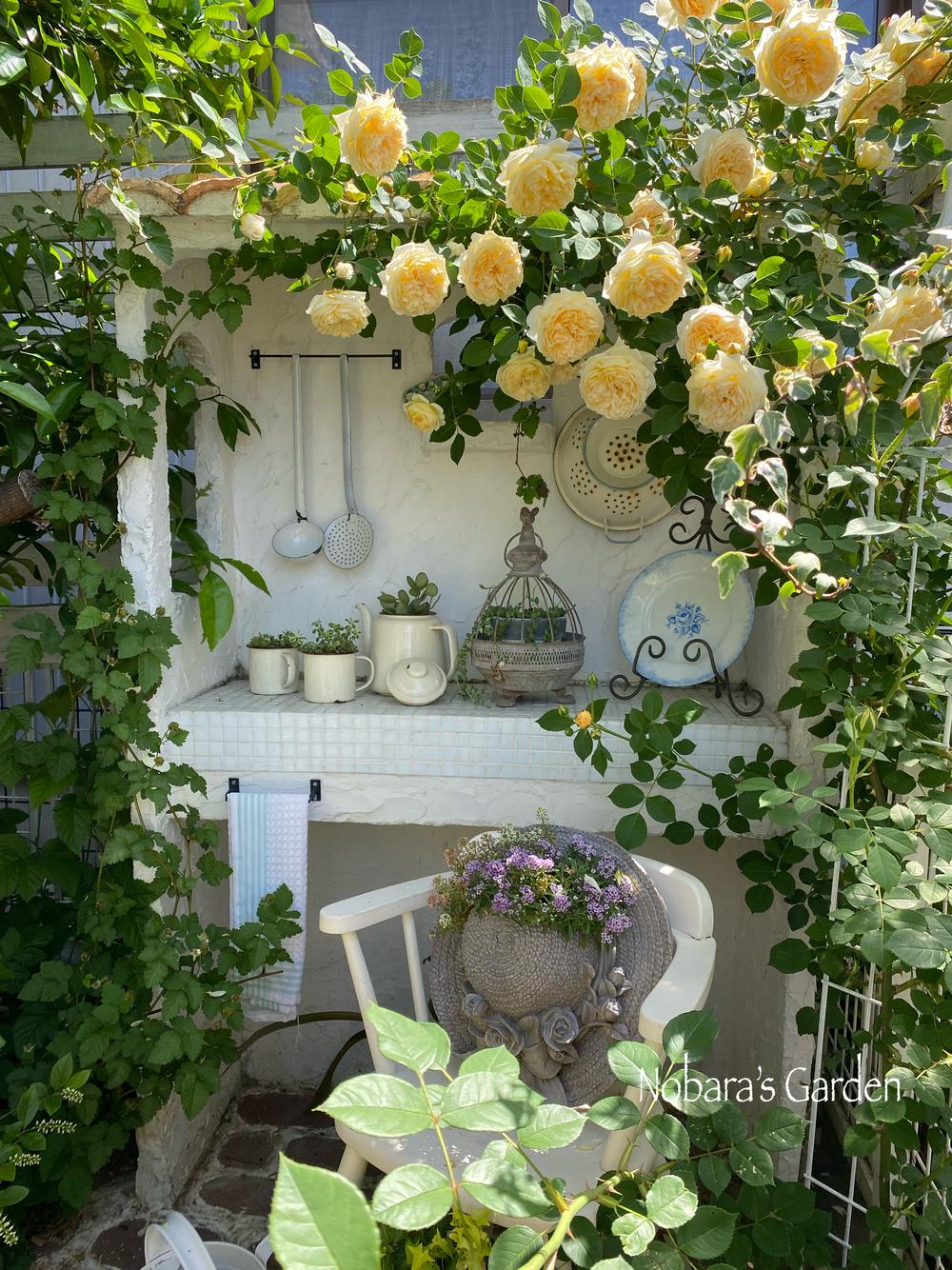 バラが咲き誇る5月の小庭 - ナチュラルガーデニング日和 ～nobaraの