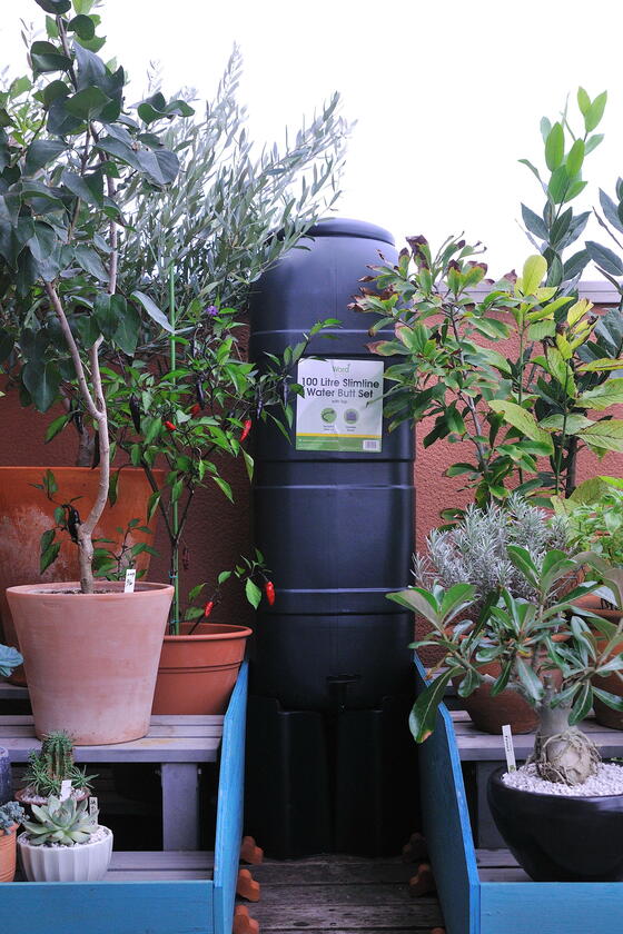 バルコニーガーデンの水やり作業が楽しくなる、英国製ガーデングッズを