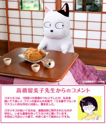 漫画家・高橋留美子 原作 「うる星やつら」― コタツネコ特大ぬいぐるみ