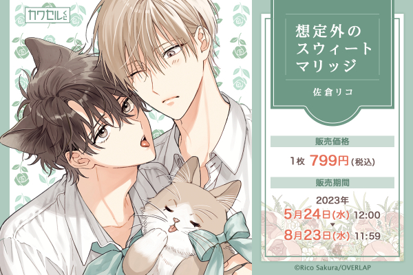 偽装結婚から始まる甘くて愛しい日々「想定外のスウィートマリッジ」が