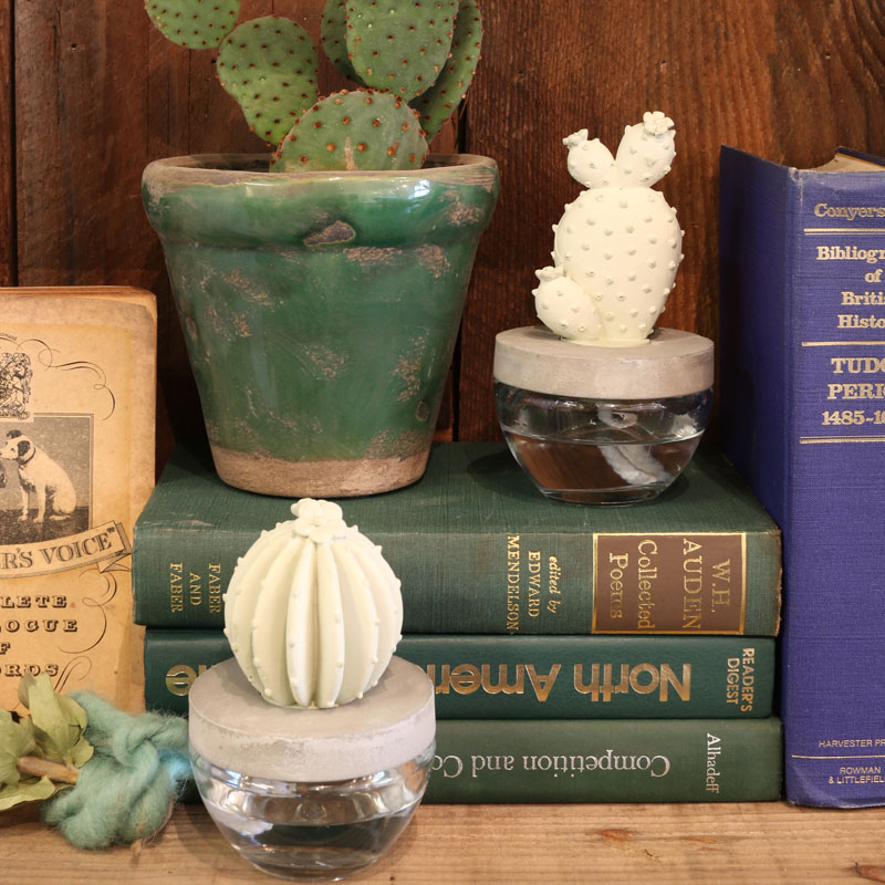 DULTON ONLINE SHOP | CACTUS FRAGRANCE DIFFUSER C WHITE FLOWER(C