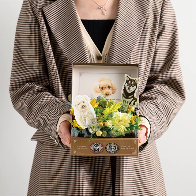 犬の貼箱・ギフトボックス/チャリティーアニマルコレクション｜ギフト