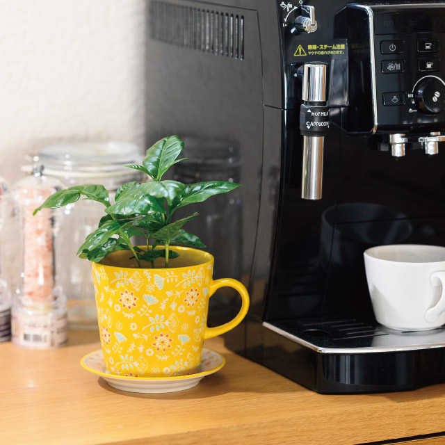 ハンドメイドプリントフラワーポット-11/カップ＆ソーサー(W140×D120