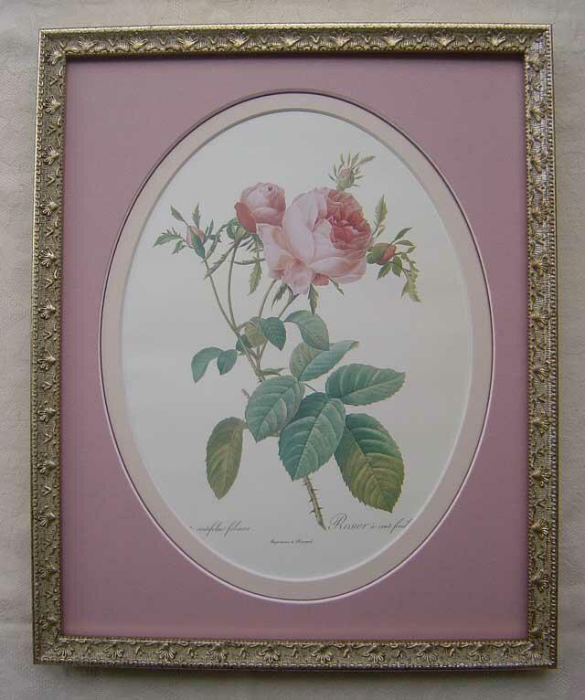 ルドゥーテの薔薇（ルドゥーテローズ）のボタニカルアート＆薔薇の額絵