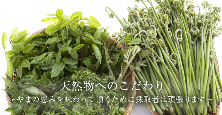 秋田県産 山わさび | ECOME屋