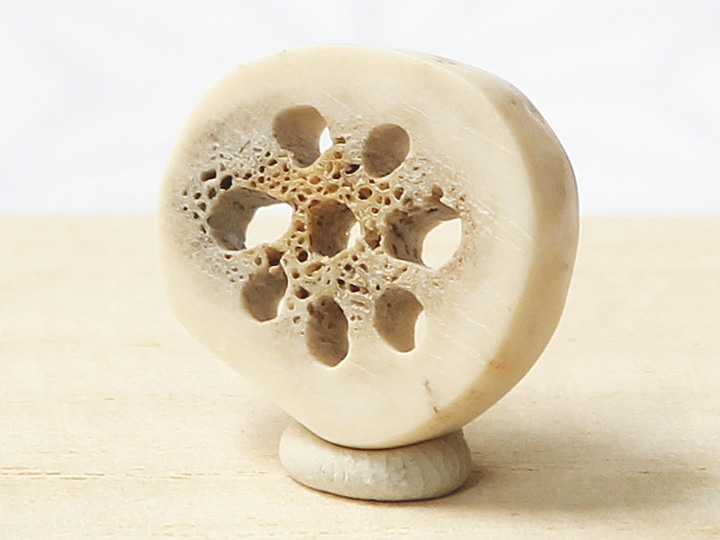 鹿角根付 レンコン（鹿角） 【2018年01月31日公開】｜京都の着物和装