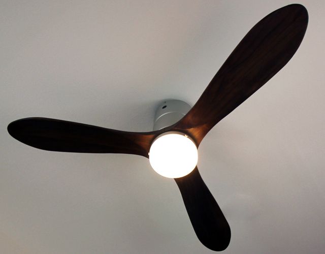 JAVALO ELF Modern Collection REAL wood blades JE-CF017-SV ライフ