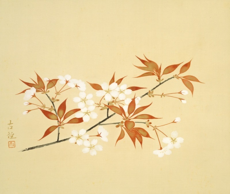 横山大観や川合玉堂ら“桜の日本画”一挙公開、特別展「桜 さくら SAKURA