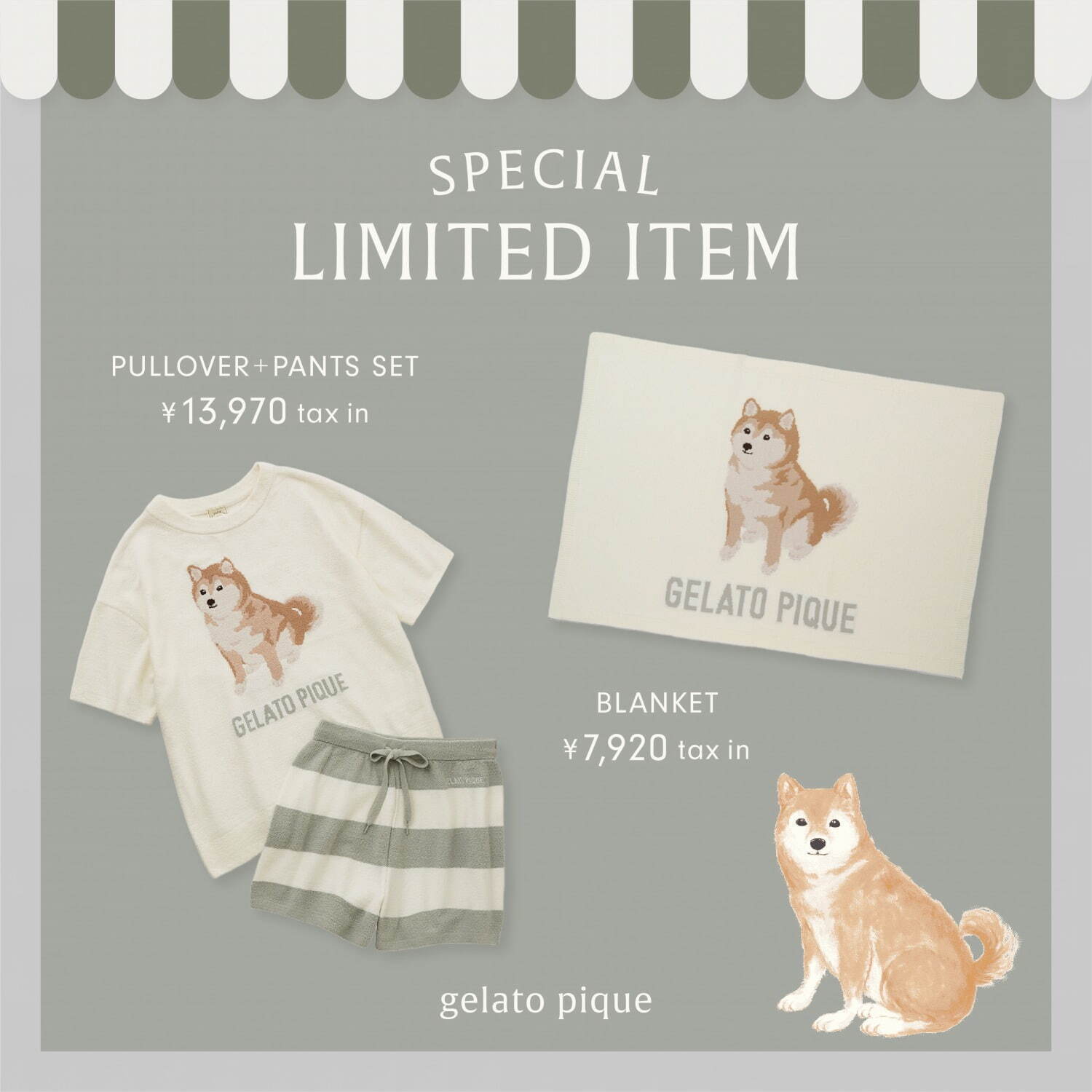 写真8/13｜ジェラート ピケ「柴犬」モチーフのルームウェア