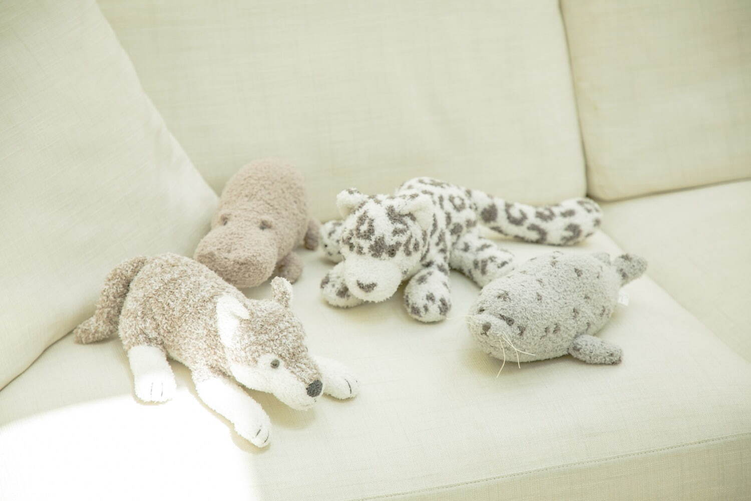 ジェラート ピケの旭山動物園“ゴマフアザラシ”や“カバ”柄ルームウェア