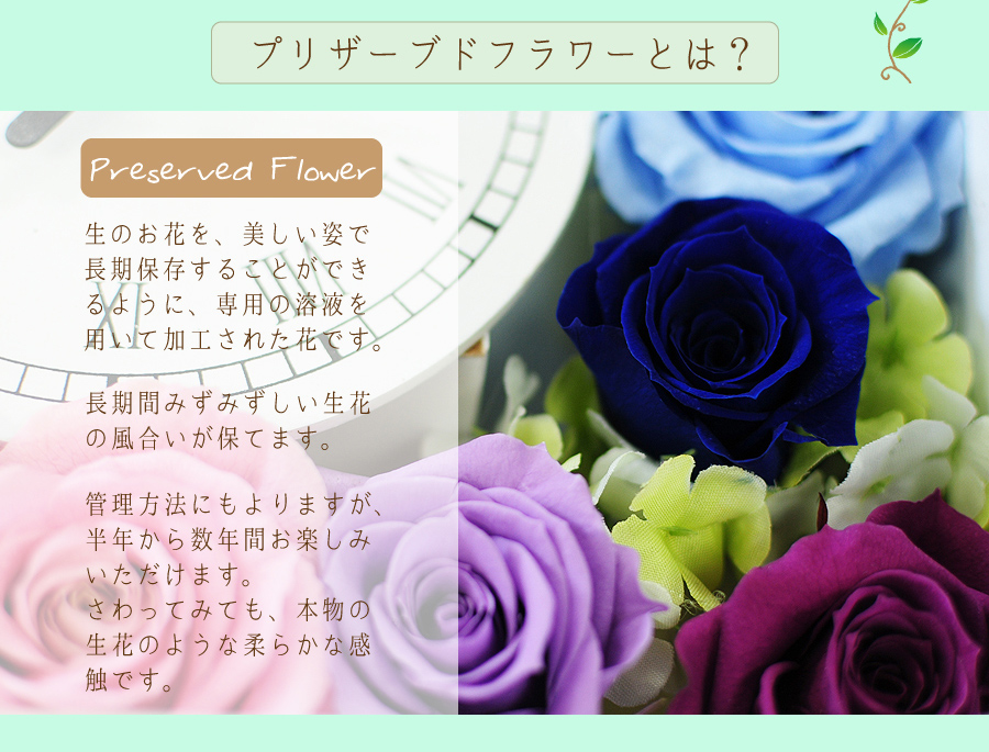 プリザーブドフラワー 花時計スクエアホワイト 白四角 プリザーブド