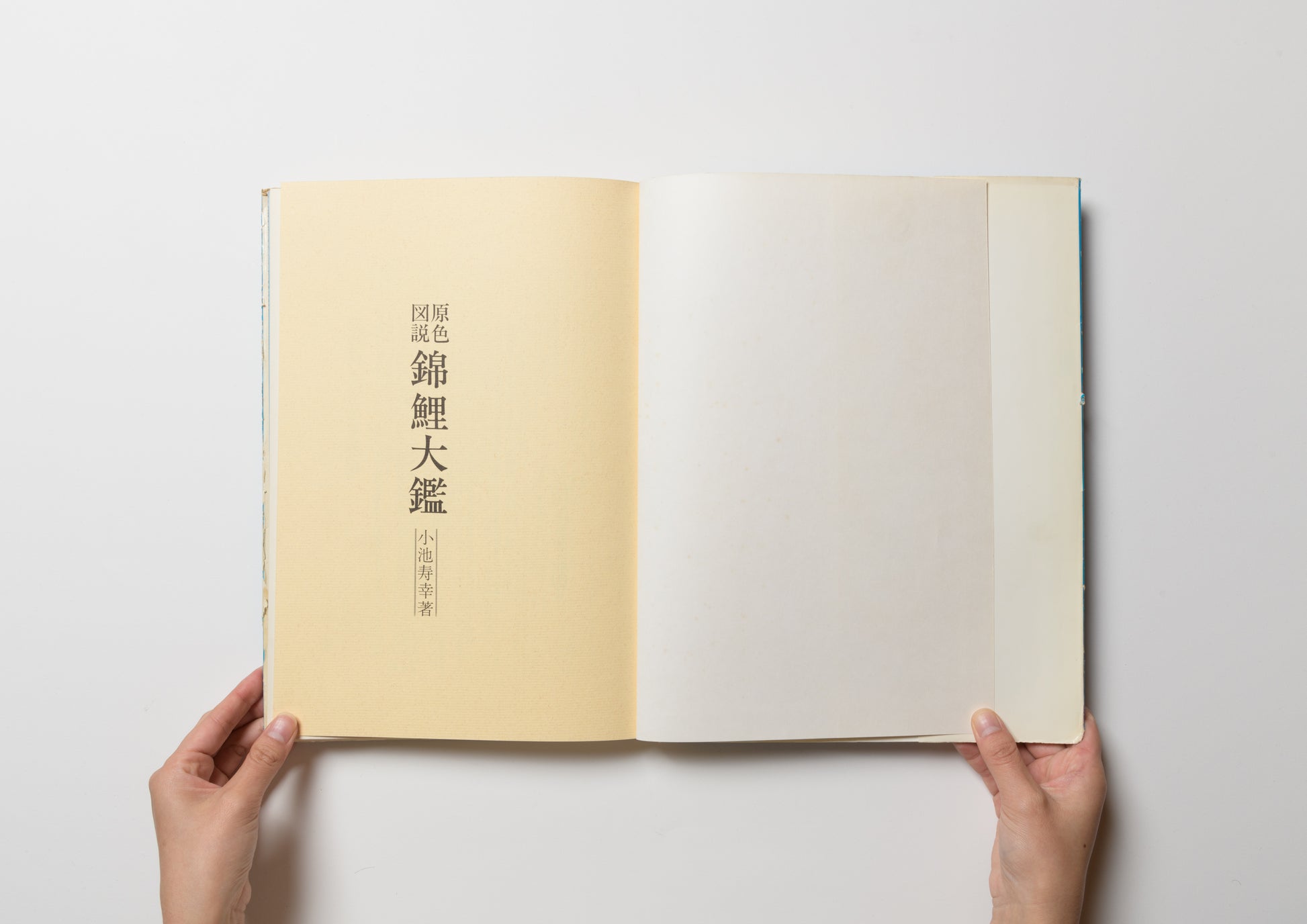 原色図説 錦鯉大鑑 – FRAGILE BOOKS