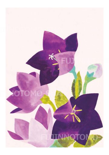 絵はがき 吉岡堅二（よしおかけんじ） ｜ 婦人之友社 さあ、生活を発見