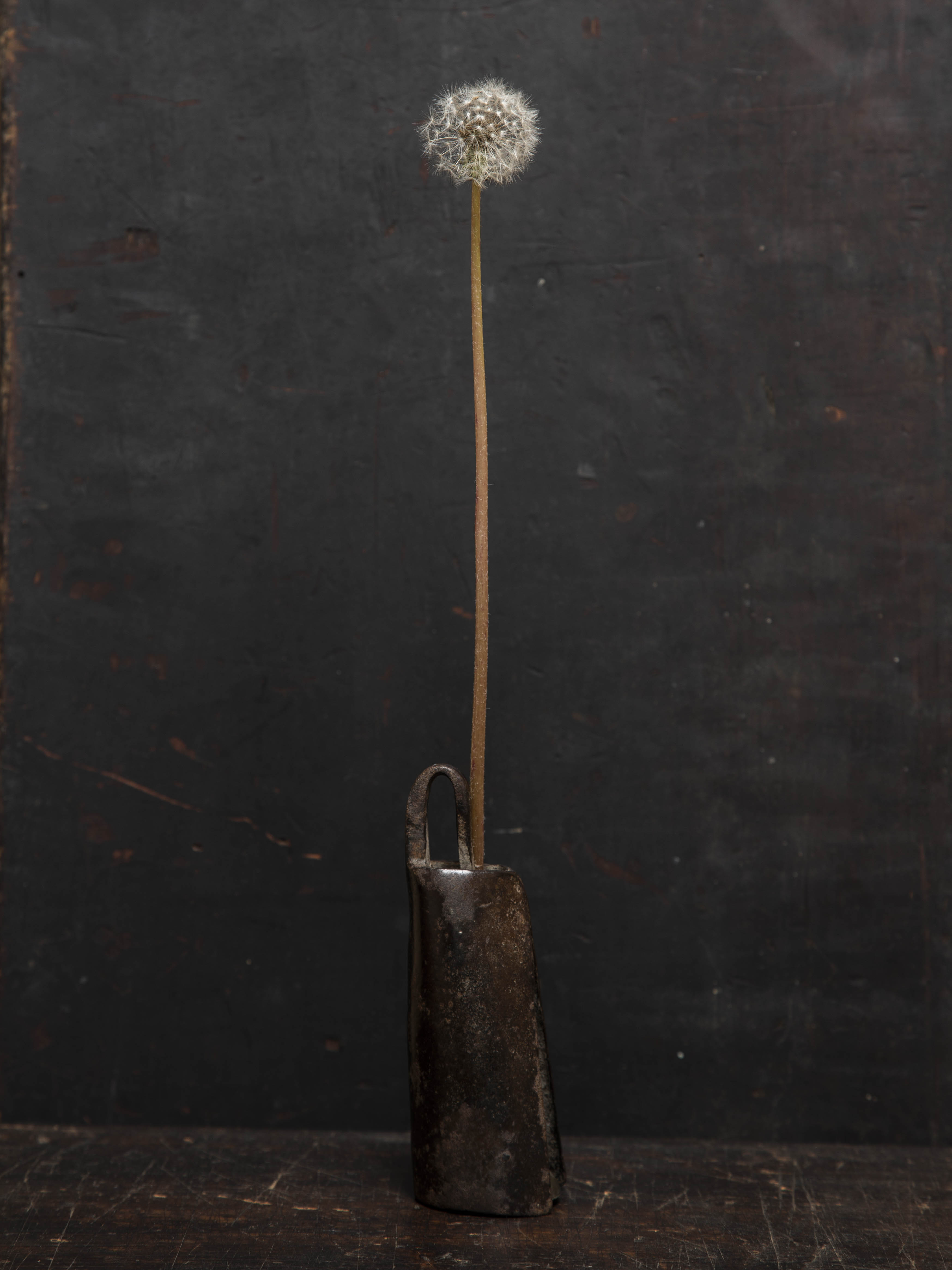 33 花を楽しむ─野花と骨董 | 骨董入門 高木孝 | ブログ | 工芸青花