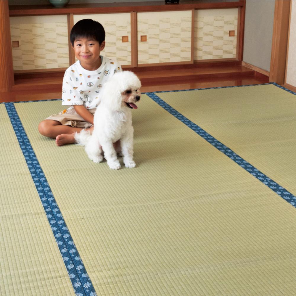 イケヒコ い草上敷き 天草 本間6畳 の通販 | ホームセンター コメリ